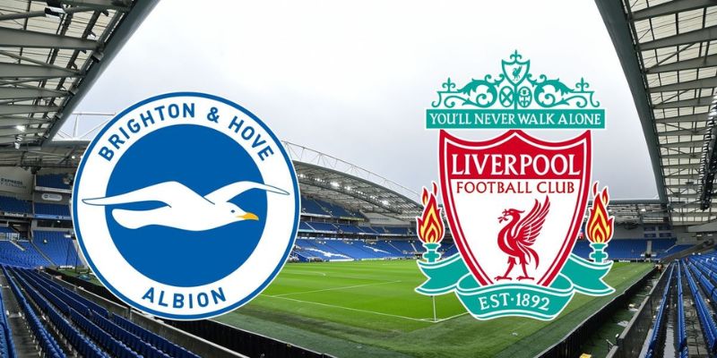 Nhận Định Brighton Hove Albion Vs Liverpool 19h30 Ngày 21/03 1 Nhận Định Brighton Hove Albion Vs Liverpool 19h30 Ngày 21/03